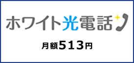 ホワイト光電話 月額513円