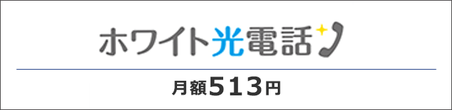 ホワイト光電話 月額513円